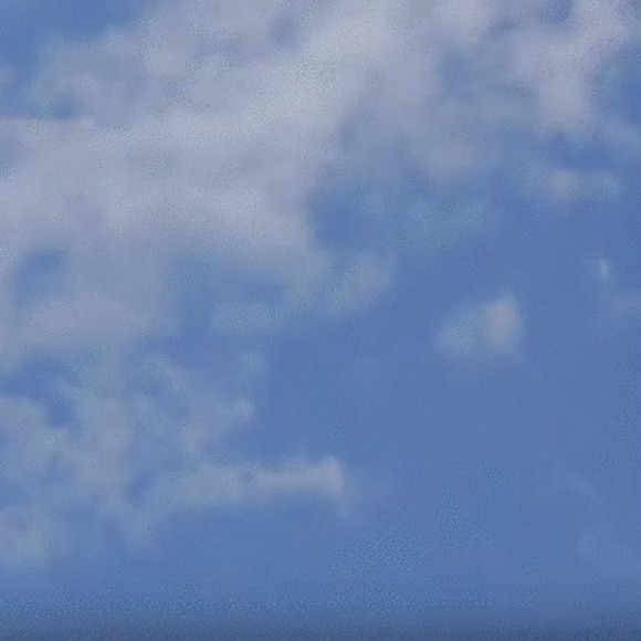 shnube